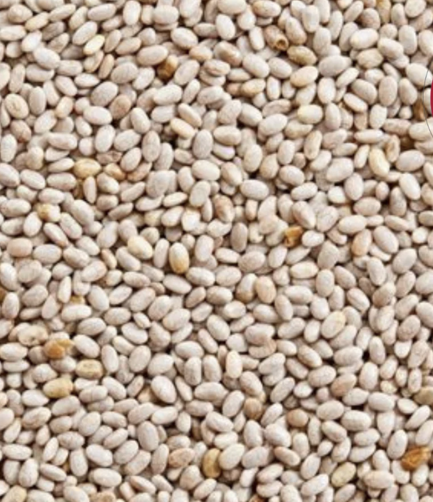 CHIA SEEDS WHITE - Bulk