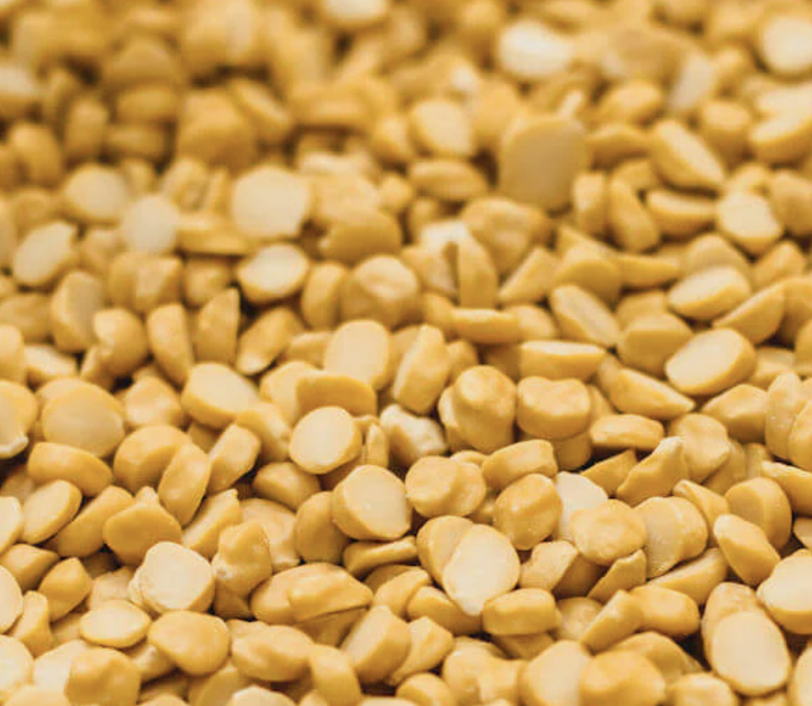 chana-dahl-organic-bulk