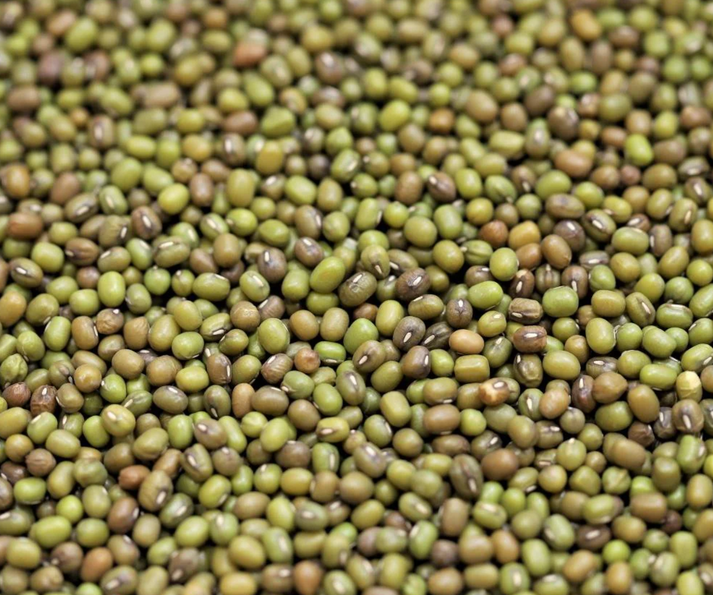 mung-beans-bulk