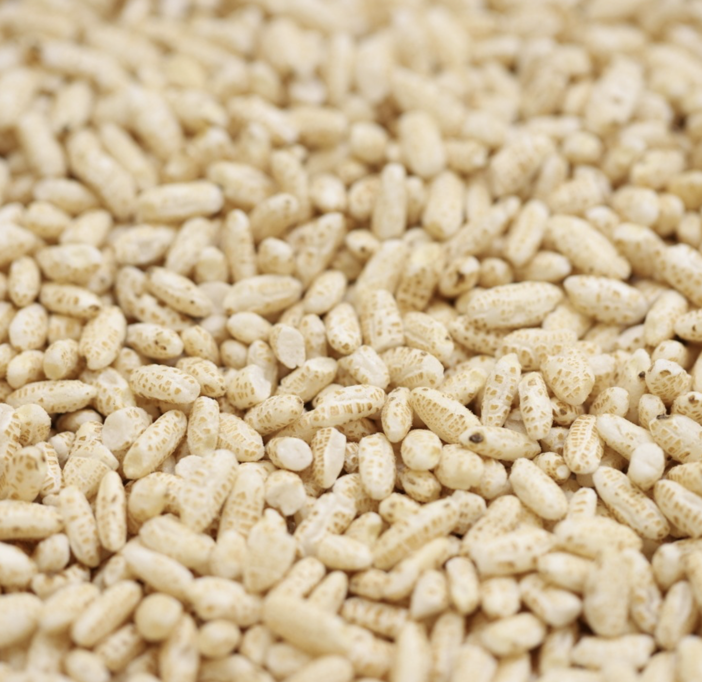 brown-rice-puffs-organic-bulk