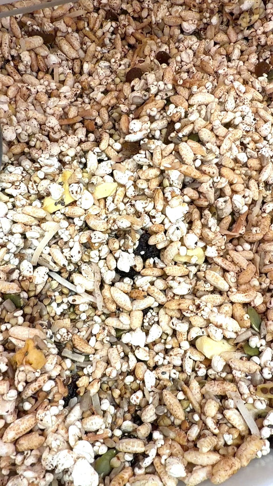 Apple & Cinnamon Classic Granola