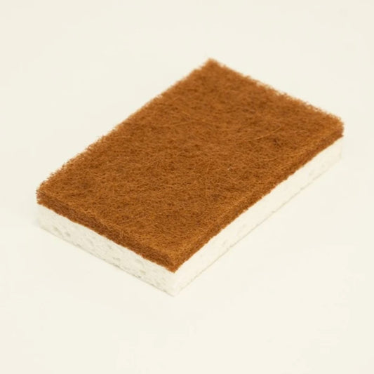 Coconut & Cellulose Sponge