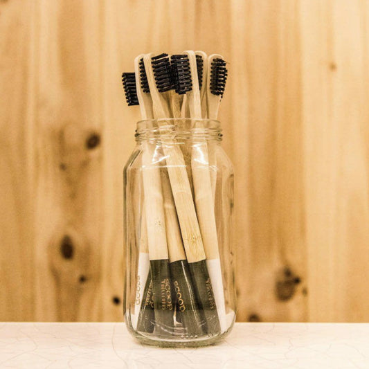 Scoop Toothbrushes Adult