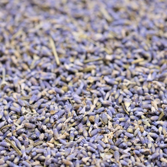 Lavender Flowers