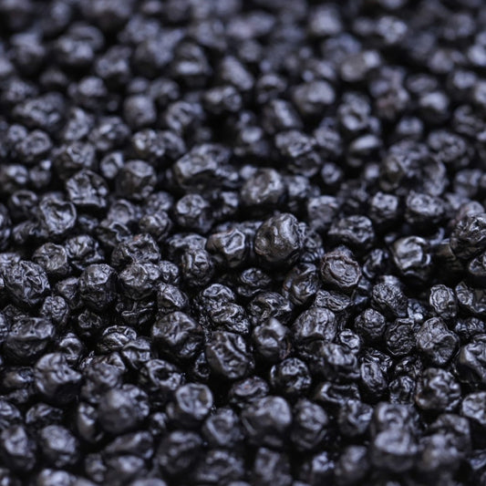 Blueberries Dried Organic