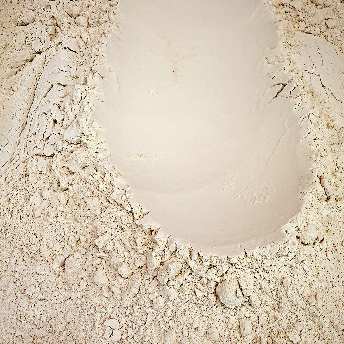 Plant 84 Protein Unflavoured Organic, Scoop Wholefoods Cottesloe
