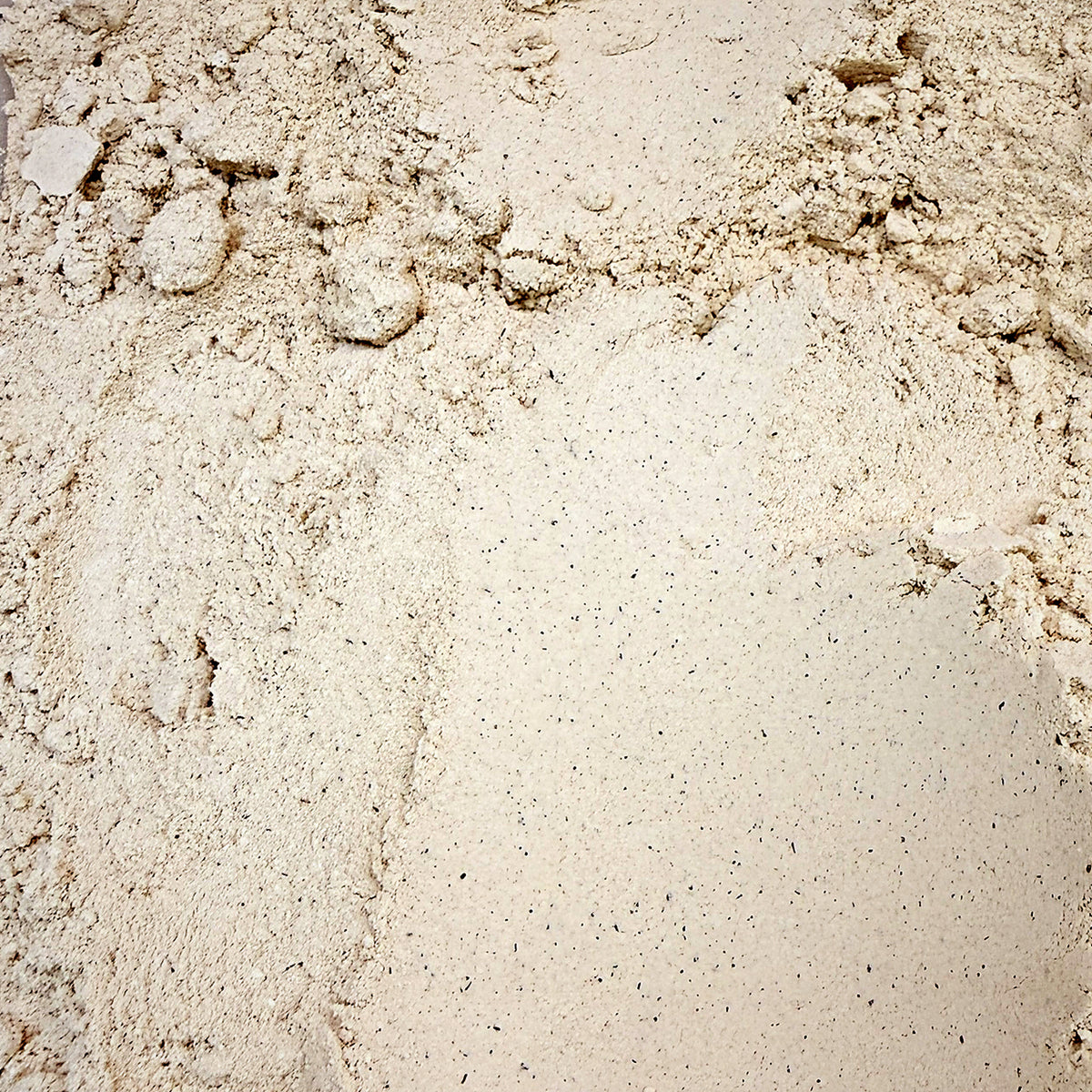 Plant 68 Protein Coconut Organic, Scoop Wholefoods Cottesloe