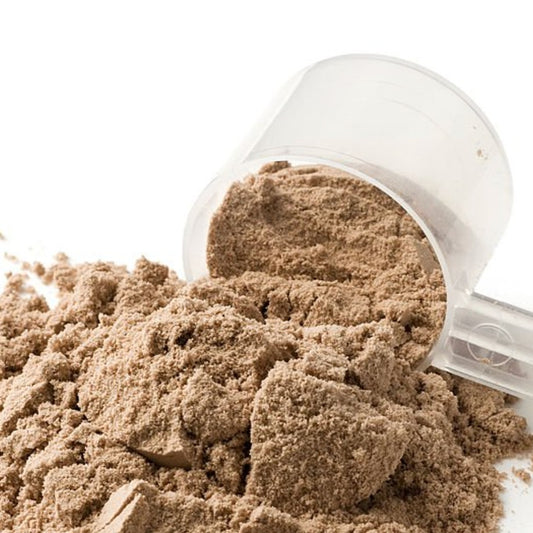 Plant 68 Protein Cacao Organic