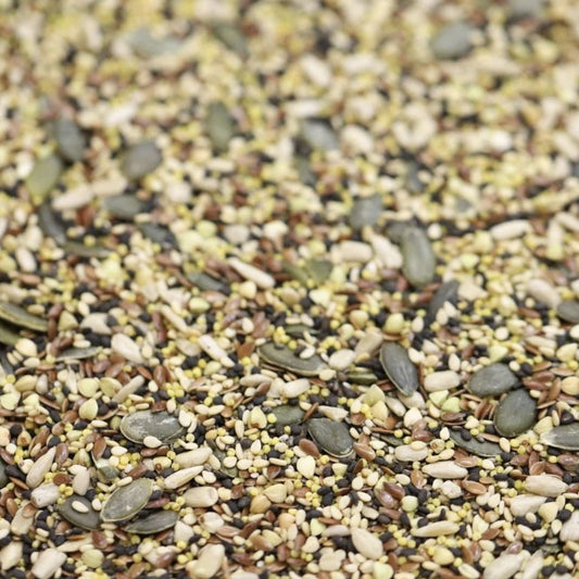 Seeds Mix Organic
