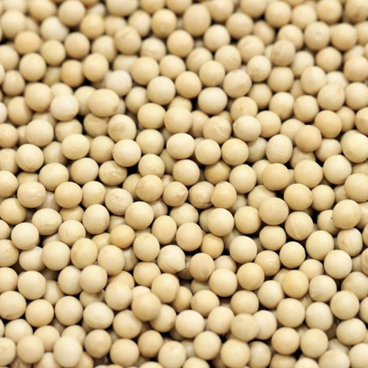 Beans Soya Organic