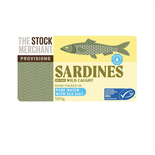 Stock Merchant Sardines in Water