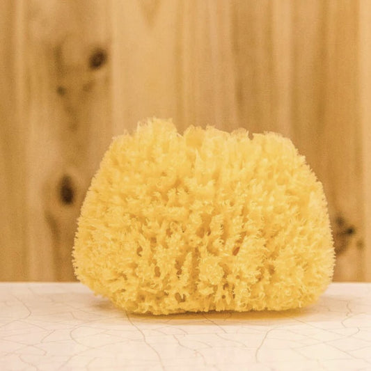 Natural Sea Sponge Small